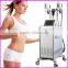 New Aaarival 2014 Two Cryo Heads / Cryolipolysis Freezing Fat / Ultrasonic Cavitation / Radio Frequency Machine