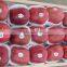 new crop red delicious apple 18kg Ctn