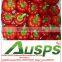 Red Capsicum