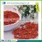 Dried Chinese Wolfberry Lycium Chinense for sale
