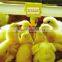 *broiler House Farming Equipment Poultry Cup Drinker