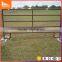 25*25mm pipe hot dipped galvanized material horse fence / cattle yard fence