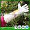 Factory selling beekeeping Equipment goatskin Bee Protective Gloves with Vented Long Sleeves