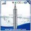 Jenson stainless steel Oil immersion submersible Screw water pump