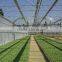Factory price plastic covered commercial greenhouses