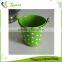 Factory Green Decorative Metal Bucket With Polka Dots in China