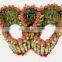 Lucky bamboo ( Dracaena Sanderiana) heart shape
