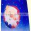 Paper Shopping Bag printed with custom design