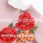 The new autumn and winter children 's clothing girls' long - sleeved lace dress