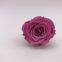 Preserved Rose Flowers for Wedding Decoration Flower Arrangement