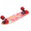 22inch OEM Design Canadian Maple Wood Mini Cruiser Fish Skateboard