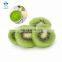 Sinocharm BRC-A approved IQF Frozen Sliced Kiwi Fruit