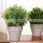Factory Direct Sale Plastic Plants Potted Plant Mini Home Office Decorating Artificial Bonsai