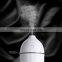 Hot Sales 300ml Water Capacity Desktop Mini Ultrasonic Air Humidifier for Home/Office/Room