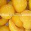 Chinese new crops yellow peach