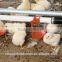 automatic poultry feeding line