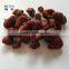 hot sell dried local fruits