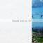 Good quality frosted pet decoration films matt pet matt white glass for window film