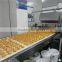 Guqiao Brand Custard / Cup Cake Machine
