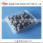 Plastic blueberry packaging container 125 gram clamshell blister plastic packaging tray