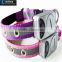 2015 new products dog supply USB rechargeable led dog collars