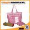 Color beautiful paper straw material wearing a silver line beach bag