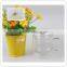 Promotional Mouth Blown Clear High Borosilicate Glass Coffee Tea Cup With Glass Infuser