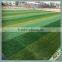 2016 Hot Sale Diamond Shape Green Color Best Natural Grass Football Fields