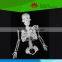 Most popular Natural size Separated human skeleton model