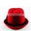 Men's or Ladies Winter Wool With Lining Wide Brim Fedora Hat