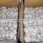 Fresh white garlic/Fresh Garlic /Jinxiang Garlic