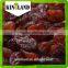 China High Quality AAA Sultana Raisin With Best Price and High Quality