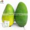 Very high quality Mango Ripener Ethylene(15)