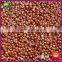 Best Sale Yanshan Fresh Chinese Chestnut Nuts With Bright Color