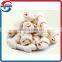 Rawhide knotted bone dog chews