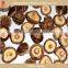dried shiitake mushroom