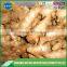 Good price dried ginger