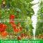 High Qualitysolar powered Greenhouse with Hyroponic system