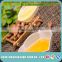 Free Apricot Kernel Oil Sample, Pure Cold Press Sweet Apricot Kernel Oil