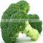 Top Quality Green cauliflower seed hybrid Broccoli Seeds