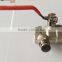 1/4"-2" Forged Brass Ball Valve With Flusher