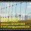 Australian Marketing goat farming 1.8m*50m iron prairie fence