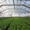 Commercial Greenhouses China