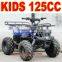 110cc ATV Hummer