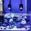 Wifi New Design Marine Led Lighting Sunrise Sunset Moonlight Marine Aquarium Led Lights UK