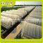 Hot Galvanized Pipe Cheap Plastic Film Agriculture Single Span Tunnel Greenhouse