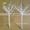 GNW WTR010 Good Quality Artificial Branches Without Leaves Mini Winter Tree For Sale