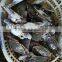 price fresh prawns crab