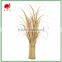 New Arrival Home Decoration Onion Grass