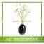 Customized shape natural color reed sticks for diffuser